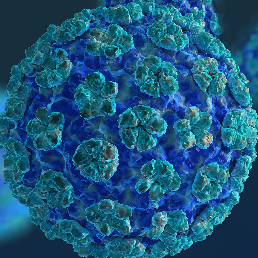 Did you know? Men can get Human Papilloma Virus (HPV) & HPV related ...